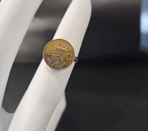 Gold and Silver Coin Ring